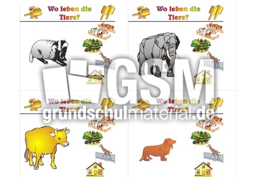 HC-Tiere leben B 06.pdf